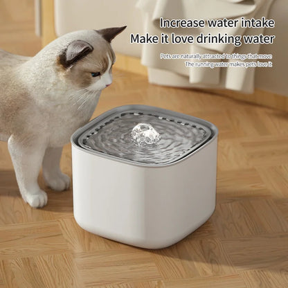 Cat Water fountain 3L